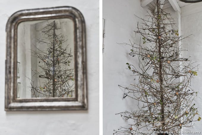 Miroir et arbre DIY en branches de récupération.