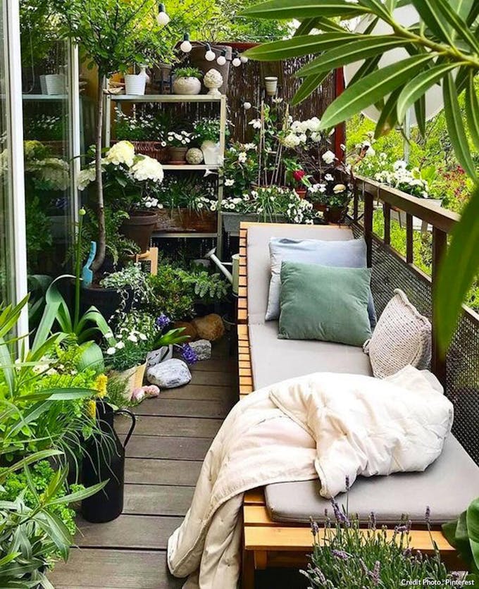 Balcon super végétal avec accumulation de plantes vertes