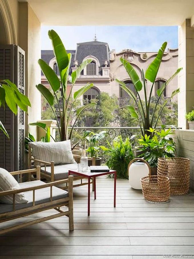 Micro balcon et maxi plantes pour un effet dedans dehors réussi