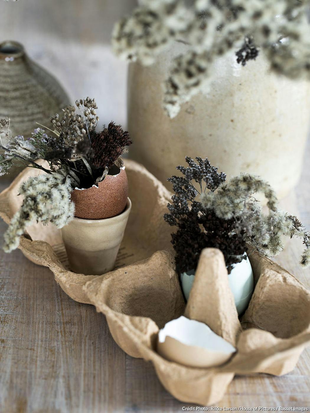 Petit Pot de Fleur Créatif en Céramique à Dents Succulentes, Mini