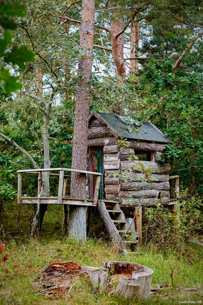 Cabane faite en bois dans le jardin