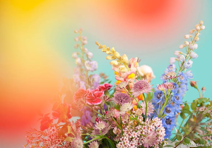 Bouquet de fleurs multicolore