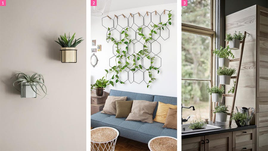 Trois façons d'installer des plantes contre un mur