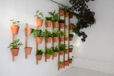 Accumulation de pots avec plantes vertes contre un mur.