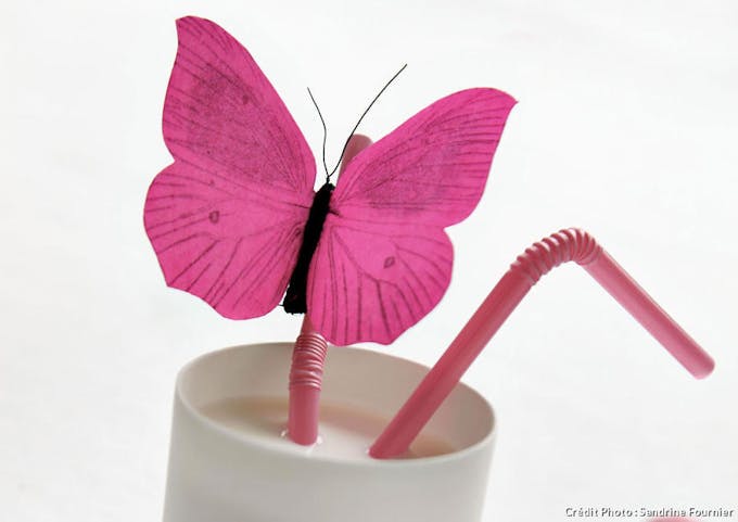 Papillon en papier ciré