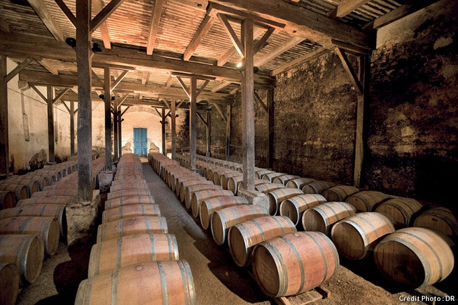 Cave de vieillissement en fût des vins