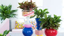 5 idées pour associer vases et pots avec brio