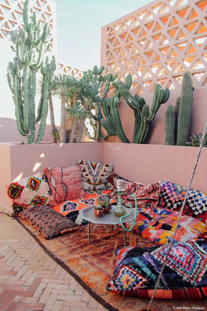 Collection de cactus sur une terrasse au style désertique