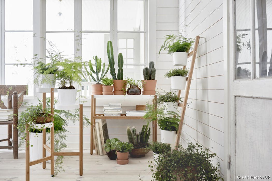 3 vases blancs pour plantes intérieur extérieur design maison et
