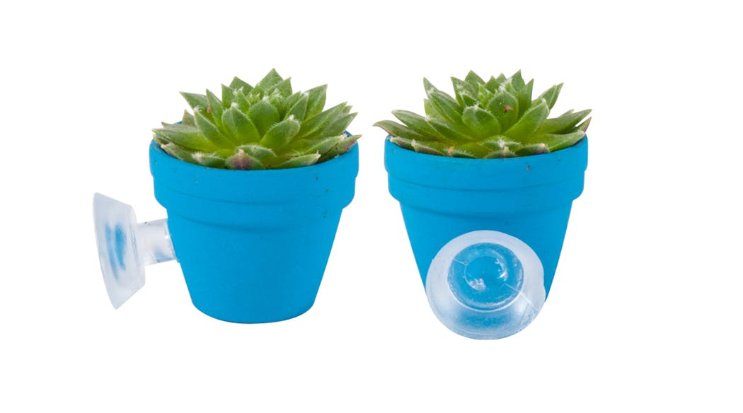 Des petits pots miniatures à ventouse garnis de succulentes.
