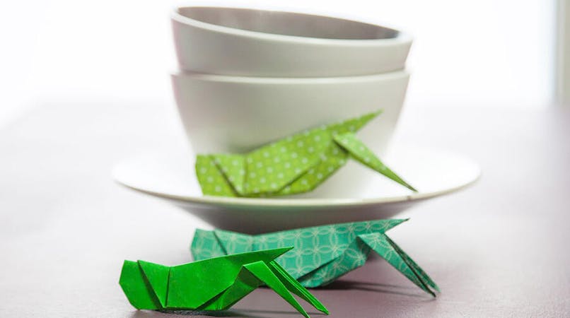 DIY : comment créer des insectes en origami ?