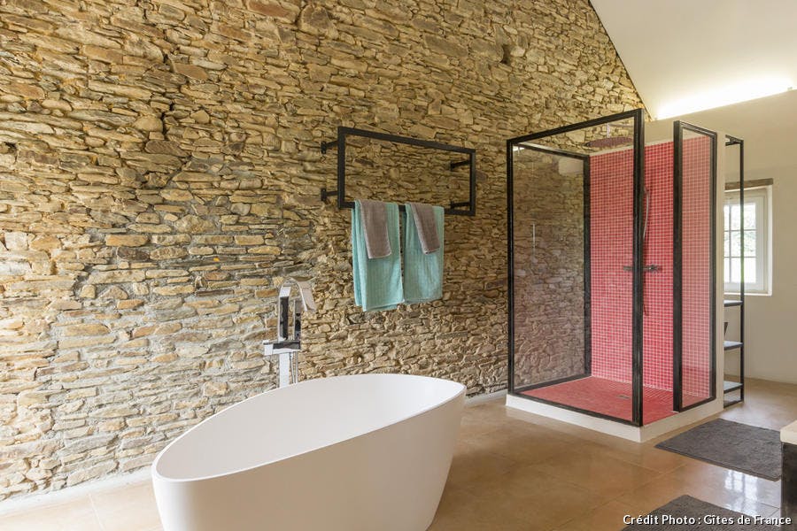 Une salle de bain avec une baignoire-îlot au milieu et une douche tapissée de mosaïques rouges.