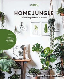 mcr-couverture-livre-home-jungle-solar.jpg