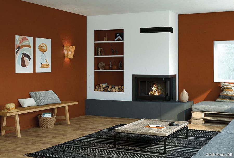 un salon chaleureux avec des murs terracotta et une cheminée contemporaine