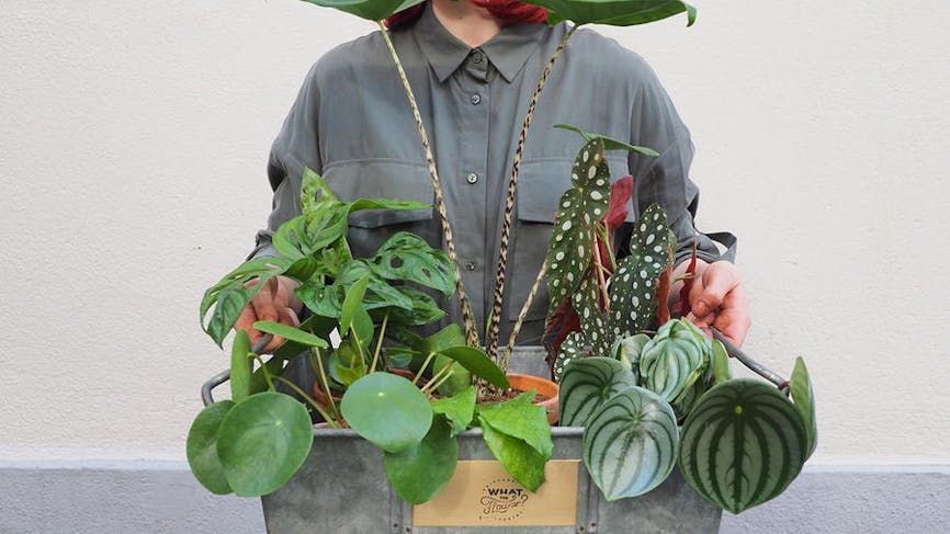 Justine alias sweetyoxalys prend la pose avec un sac en zinc replu de plantes vertes