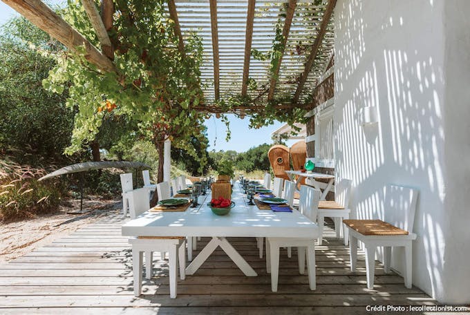 une terrasse avec une grande table de repas blanche ombragée par une pergola en bois habillée de végétation 