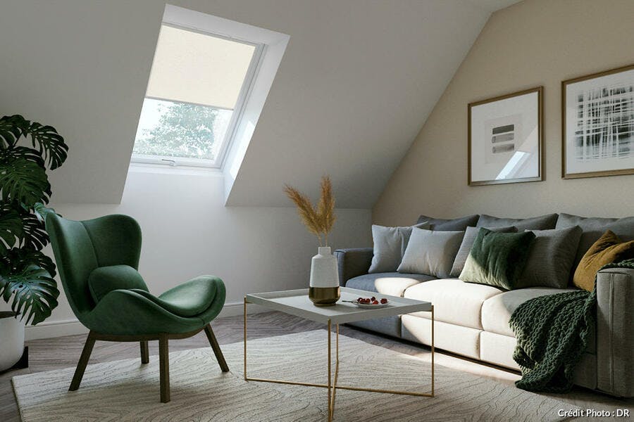 salon avec fauteuil vert et canapé fenetre de toit avec velux et store