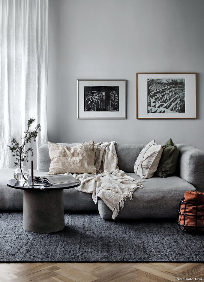 Un salon en total look gris avec canapé, tapis et table basse en marbre