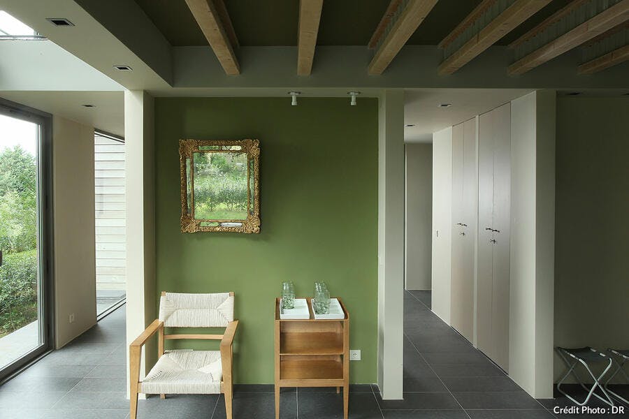 pièce à vivre ouverte sur l'extérieur avec des murs vert olive 