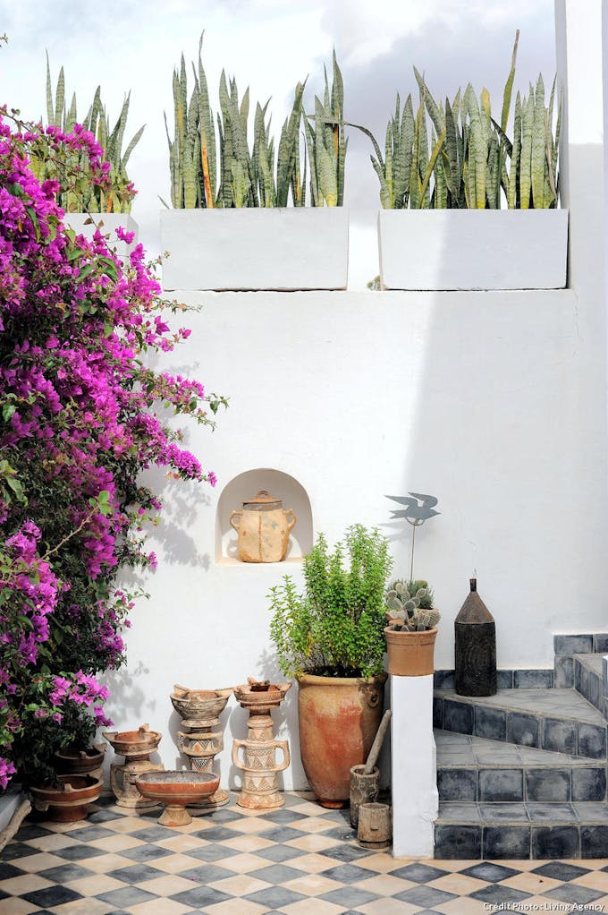 exterieur maroc blanc noir carreaux pots cactus