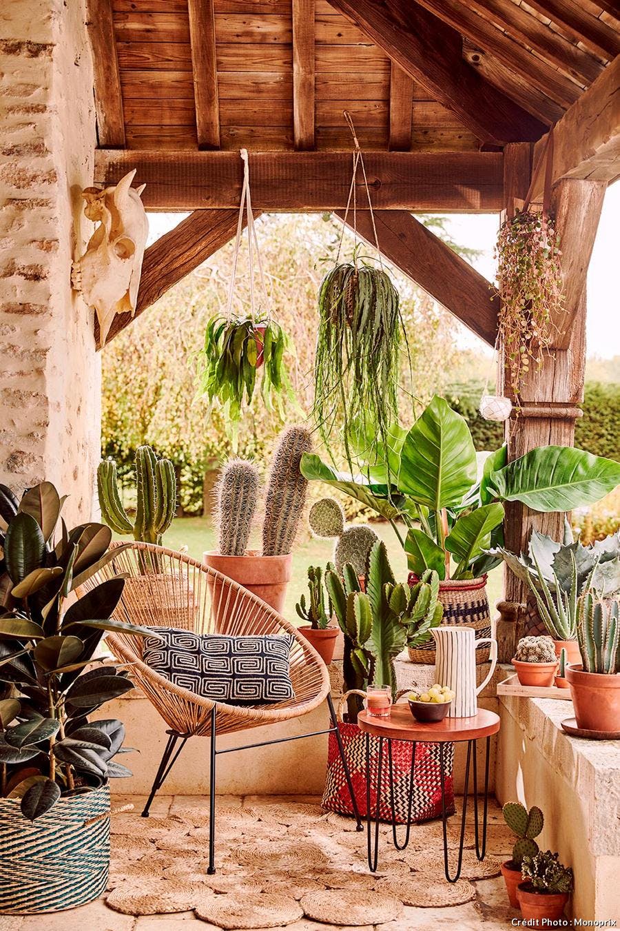 Porche avec profusion de cactus.