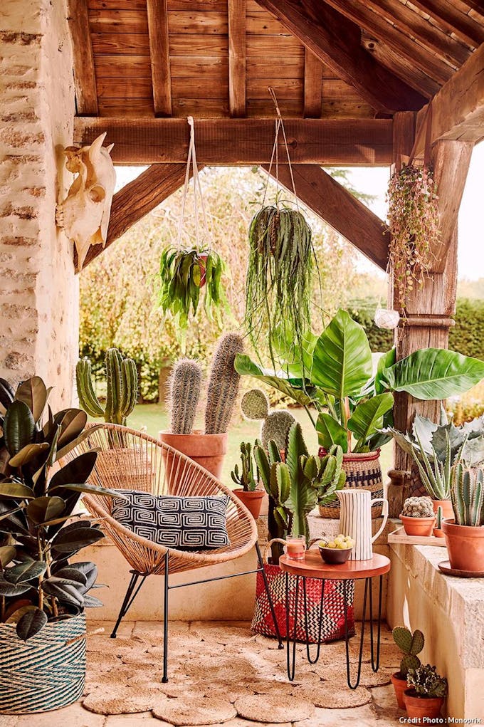 Porche avec profusion de cactus.
