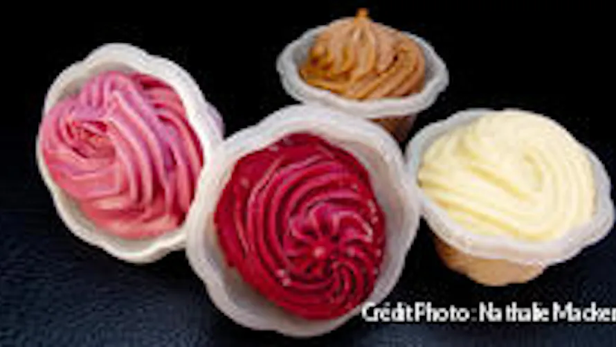 Sorbetière Framboise - Sorbets et Glaces fait maison Sorbetière Framboise - Sorbets et Glaces fait maison