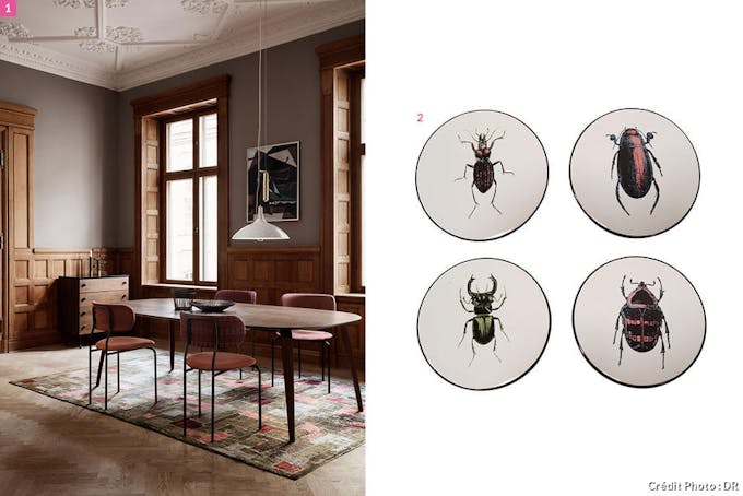 Une salle à manger dans un style brocante et arty, des dessous de verres ornés d'illustrations d'insectes 