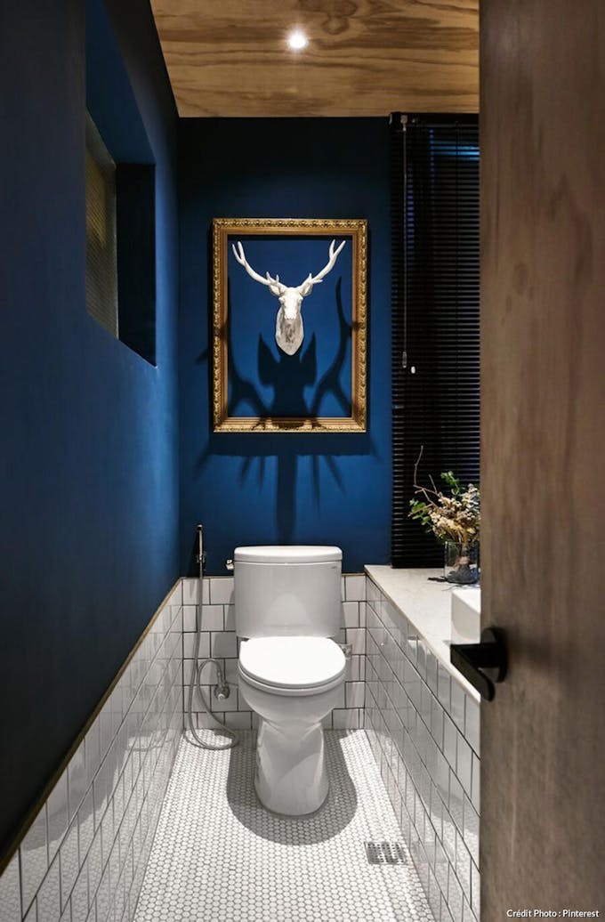 Toilettes bleu paon 