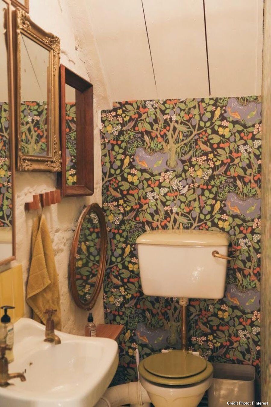 Toilettes vintages avec du papier peint 