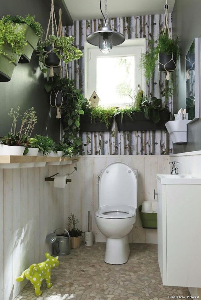 Toilettes zen avec des plantes vertes et à l'ambiance végétale 