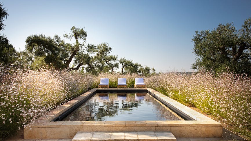 une piscine en pierre entourée de fleurs sauvages