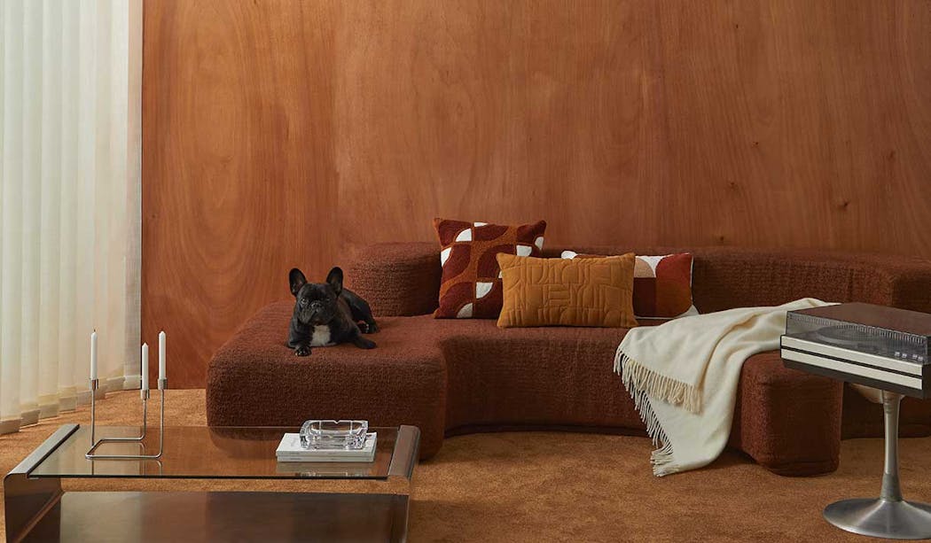 NON SALIN CHALEUX AVEC UN CHIEN SUR UN CANAPÉ CONtemporain