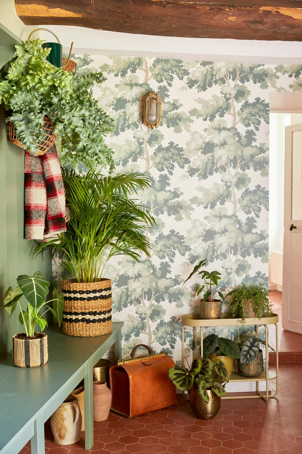 Entrée avec des plante