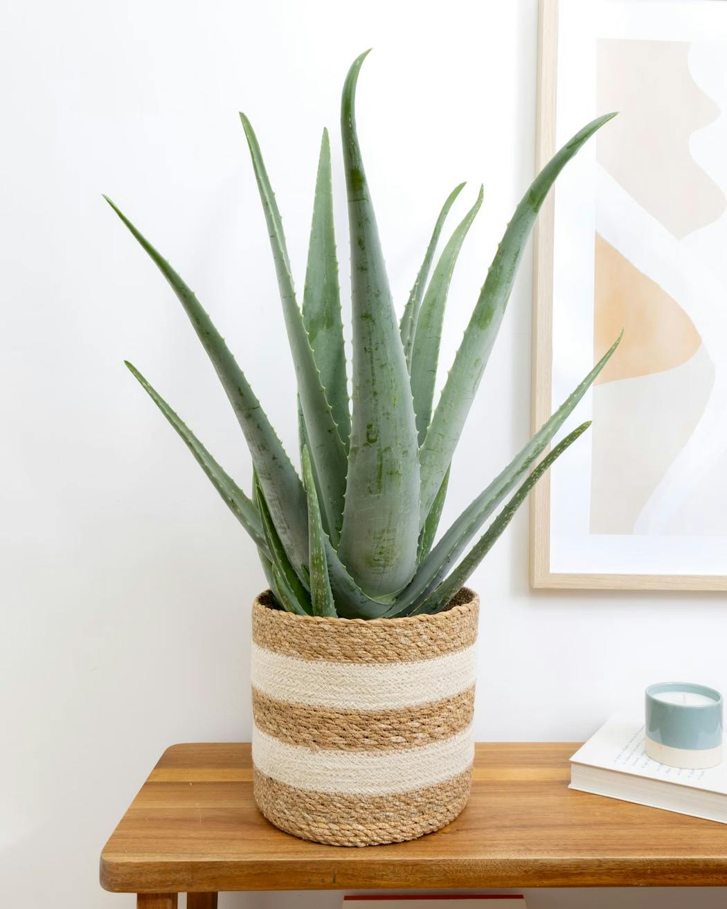 Planter
