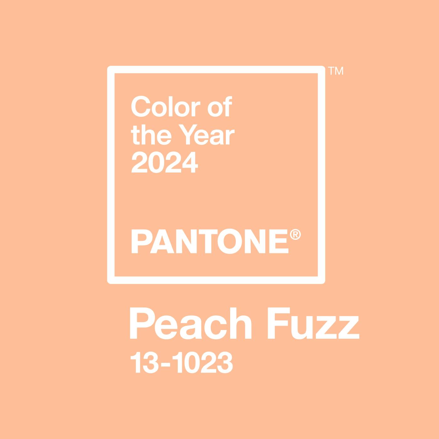 Pantone 2024 « Peach Fuzz » élue couleur de l’année 2024 Maison