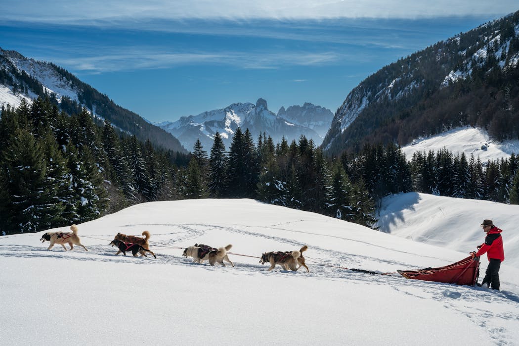 Balade en traîneau à chiens sur le plateau des Glières, dans les Alpes.