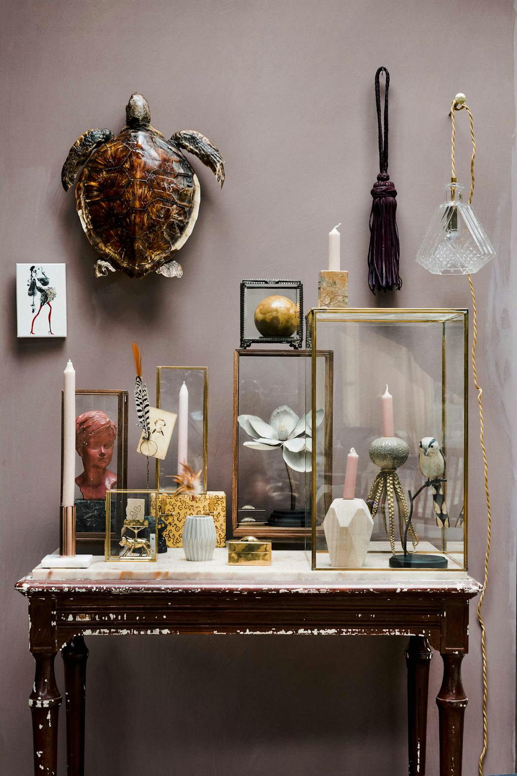 idée déco cabinet de curiosité